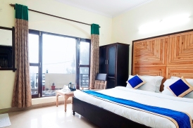 rio-grand-nanital-delux -room